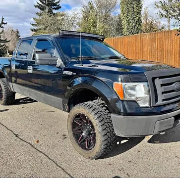 2009 Ford F-150