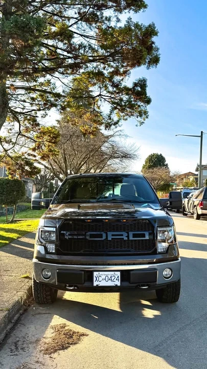 2009 Ford F-150 12th Gen - Image 3 of 12