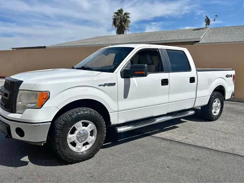 2009 Ford F-150