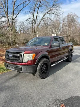 2009 Ford F-150