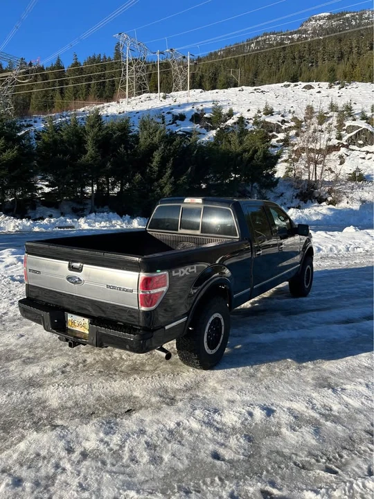 2009 Ford F-150 12th Gen - Image 5 of 13