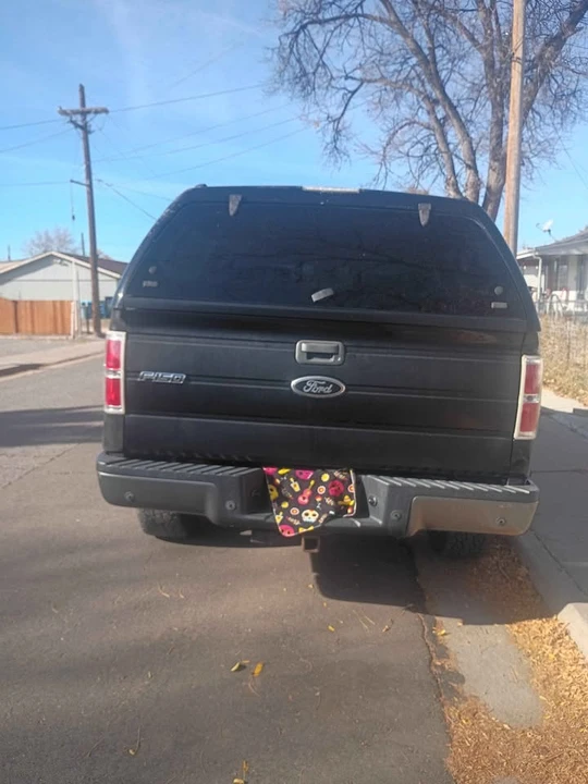2009 Ford F-150 12th Gen - Image 10 of 13