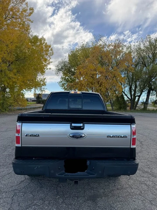 2009 Ford F-150 12th Gen - Image 4 of 14