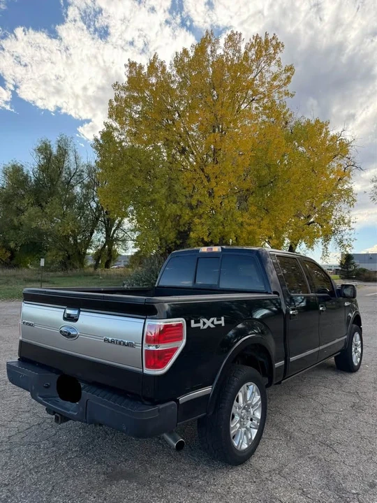 2009 Ford F-150 12th Gen - Image 6 of 14
