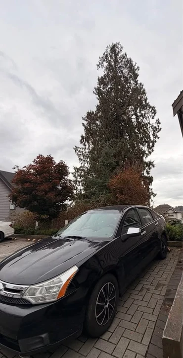 2009 Ford Focus 2nd Gen - Image 3 of 7