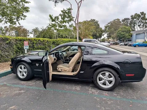 2009 Ford Mustang GT 45th Anniversary Coupe