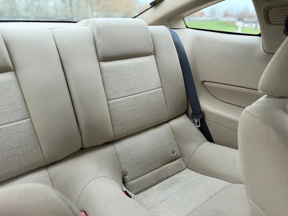 2009 Ford S197 Mustang - Image 15 of 20