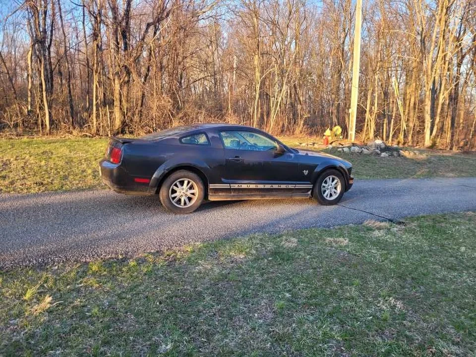2009 Ford S197 Mustang - Image 5 of 5
