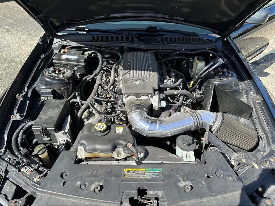 2009 Ford S197 Mustang - Image 7 of 14