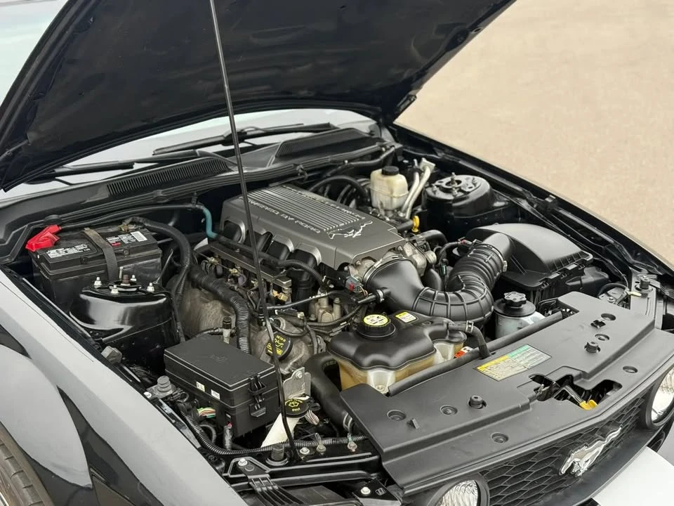 2009 Ford S197 Mustang - Image 19 of 20