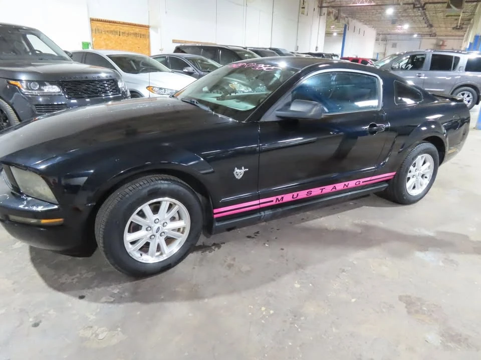 2009 Ford S197 Mustang - Image 9 of 20