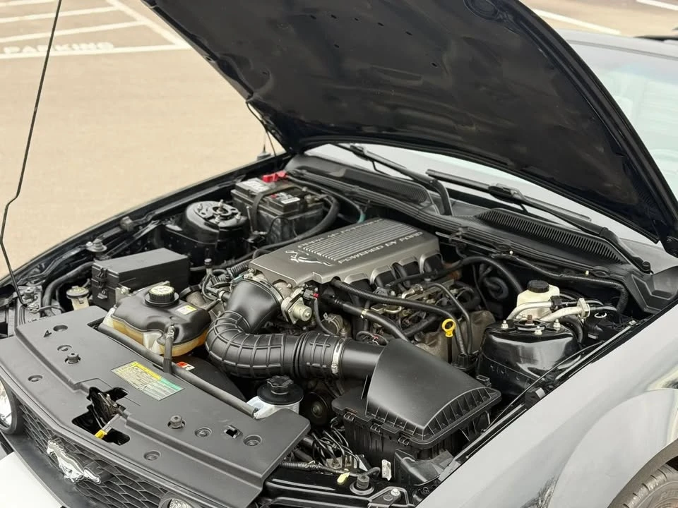 2009 Ford S197 Mustang - Image 18 of 20
