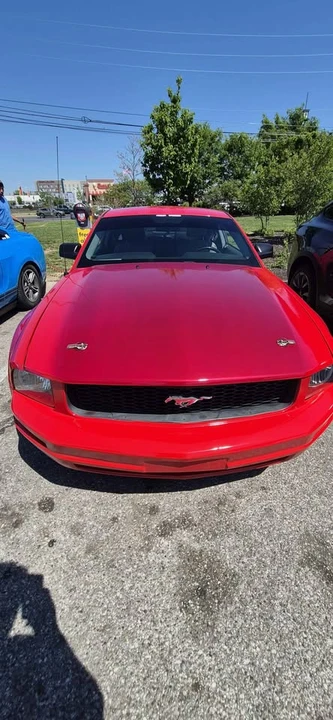 2009 Ford S197 Mustang - Image 4 of 5