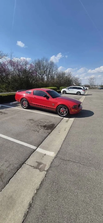 2009 Ford S197 Mustang - Image 5 of 5