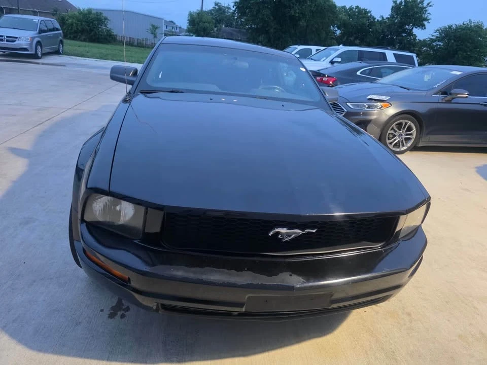 2009 Ford S197 Mustang - Image 16 of 17