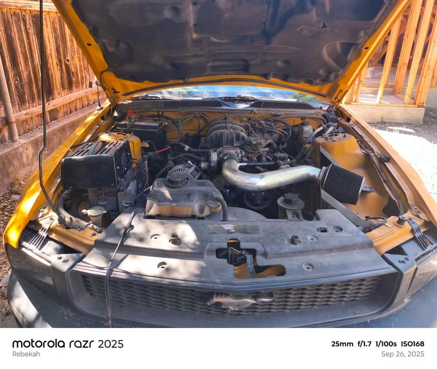 2009 Ford S197 Mustang - Image 3 of 6