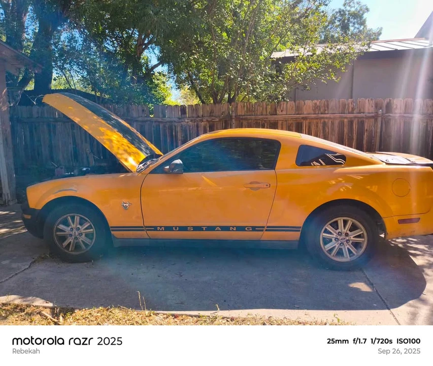 2009 Ford S197 Mustang - Image 5 of 6