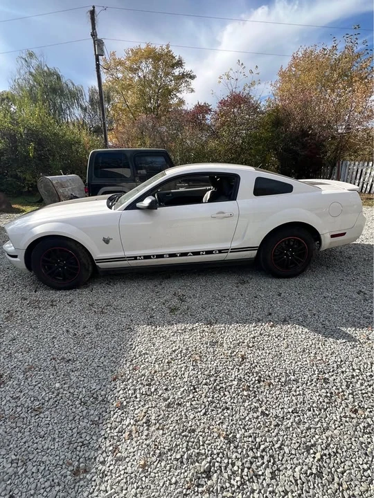 2009 Ford S197 Mustang - Image 3 of 9