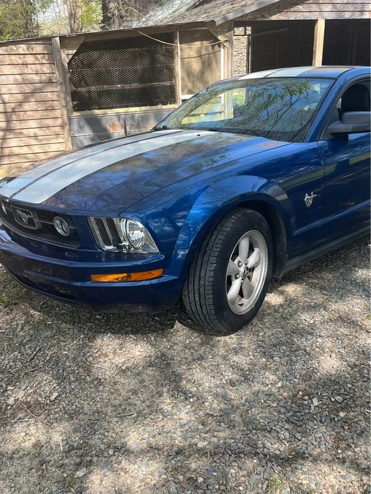 2009 Ford S197 Mustang - Image 2 of 13