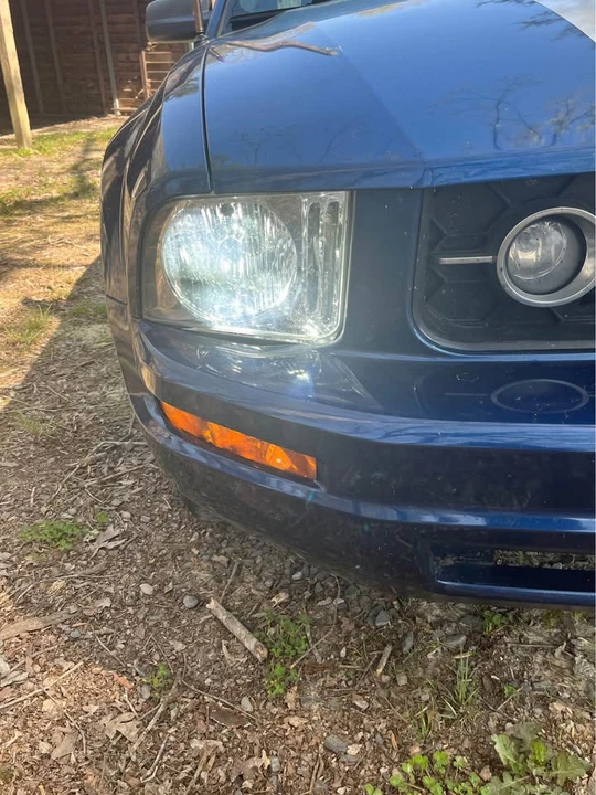 2009 Ford S197 Mustang - Image 11 of 13