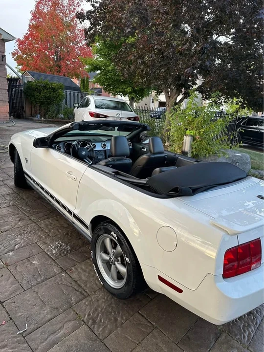 2009 Ford S197 Mustang - Image 10 of 12