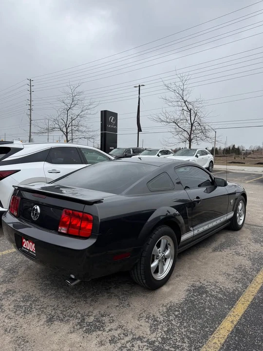 2009 Ford S197 Mustang - Image 15 of 16