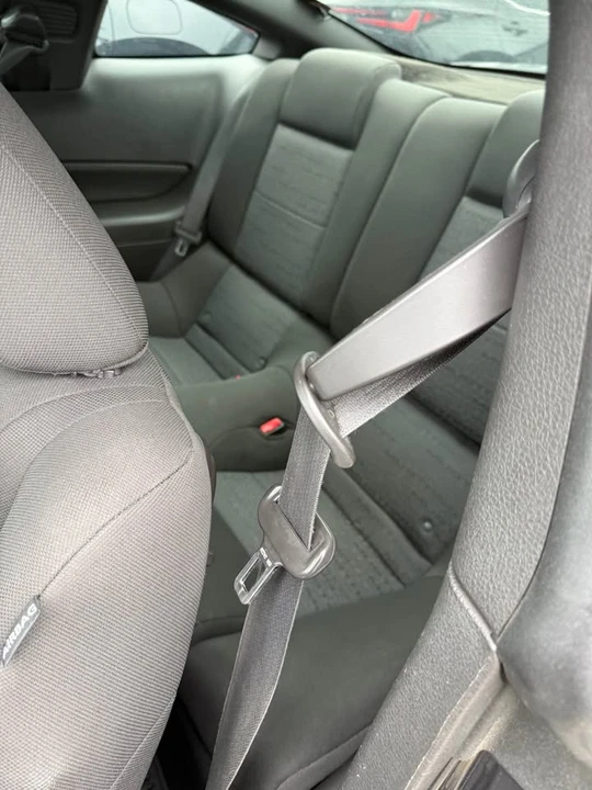 2009 Ford S197 Mustang - Image 11 of 16