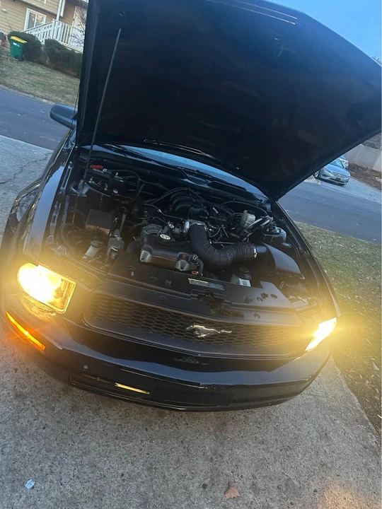 2009 Ford S197 Mustang - Image 3 of 18
