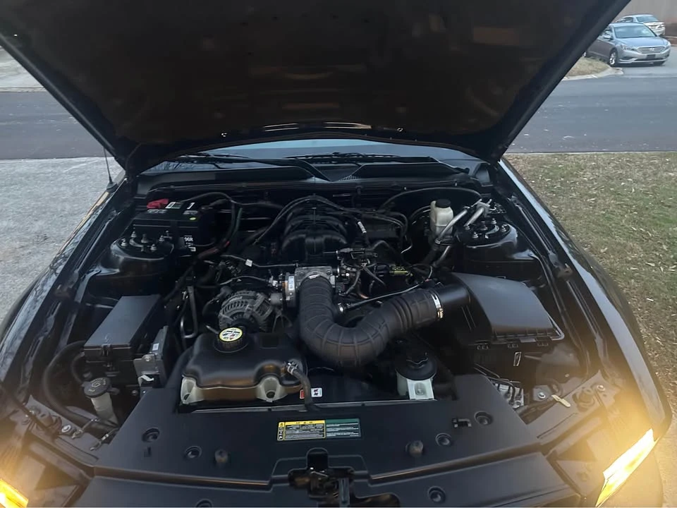 2009 Ford S197 Mustang - Image 16 of 18