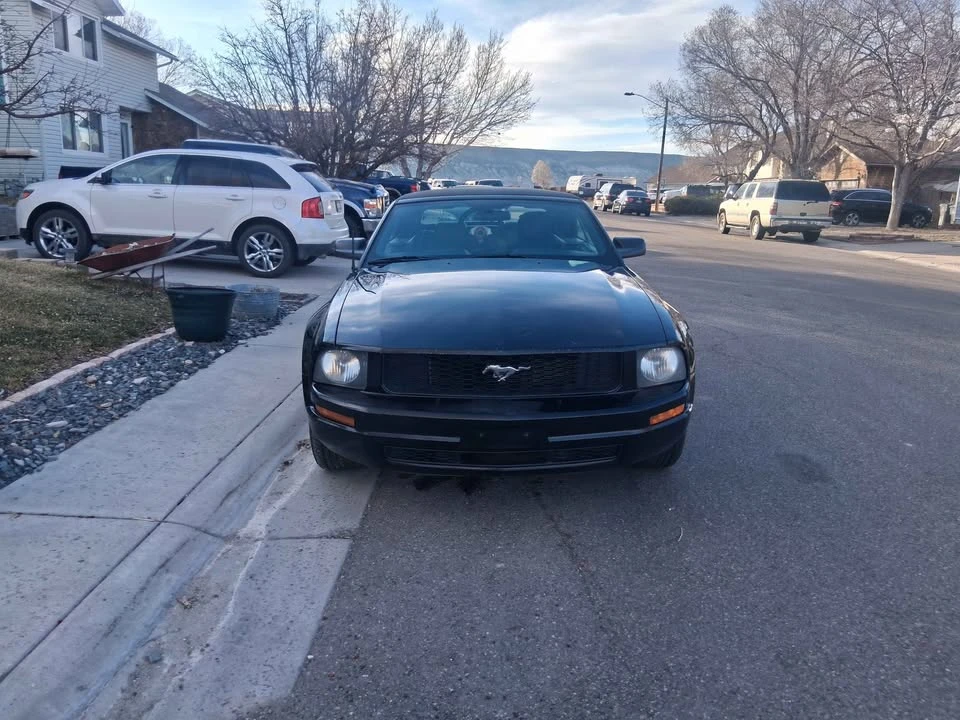 2009 Ford S197 Mustang - Image 2 of 9