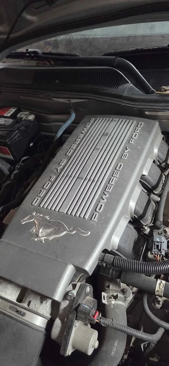 2009 Ford S197 Mustang - Image 2 of 5