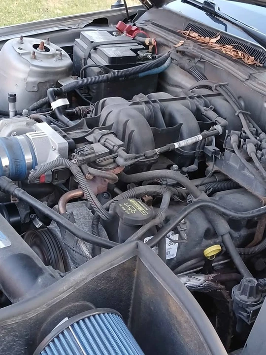 2009 Ford S197 Mustang - Image 13 of 16