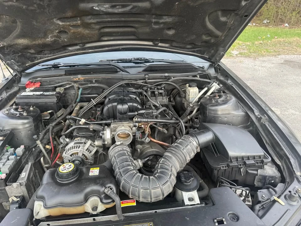 2009 Ford S197 Mustang - Image 3 of 6