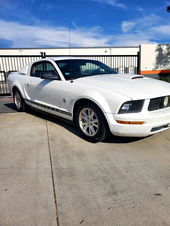 2009 Ford S197 Mustang - Image 7 of 12