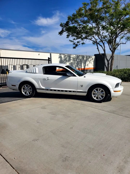 2009 Ford S197 Mustang - Image 8 of 12