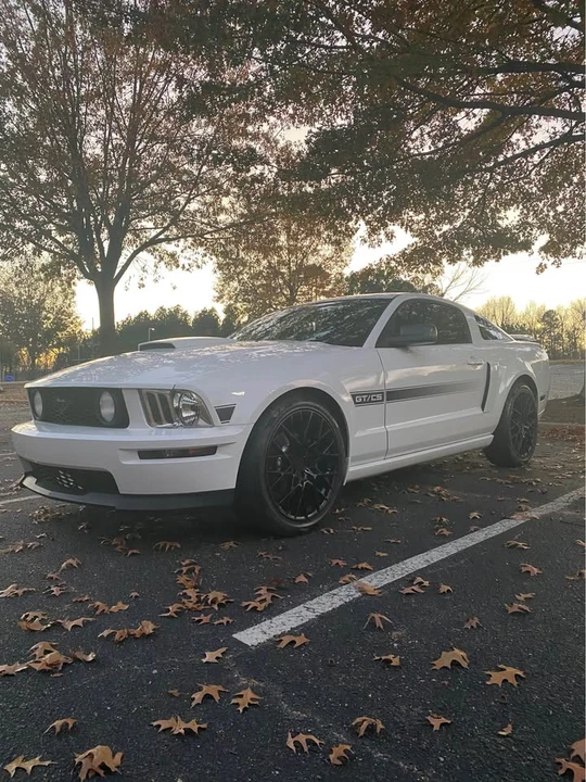 2009 Ford S197 Mustang - Image 9 of 12