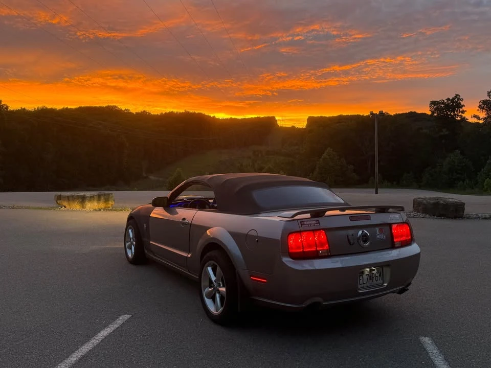 2009 Ford S197 Mustang - Image 6 of 7