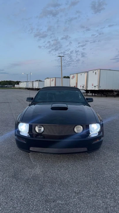 2009 Ford S197 Mustang - Image 8 of 13