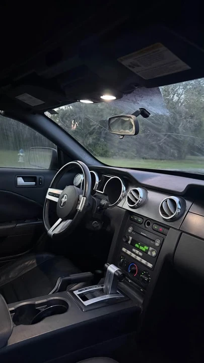 2009 Ford S197 Mustang - Image 13 of 13