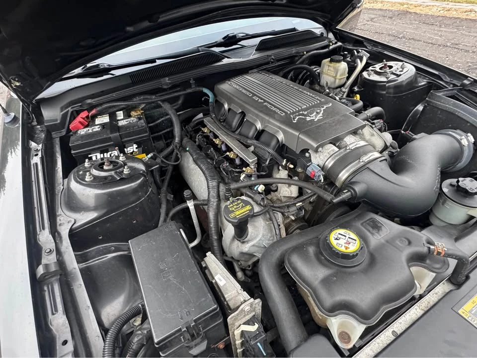 2009 Ford S197 Mustang GT - Image 16 of 18