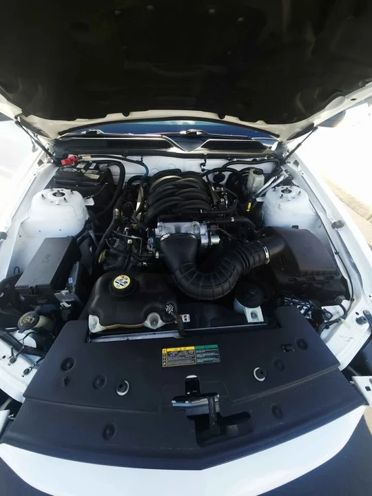 2009 Ford S197 Mustang - Image 14 of 18