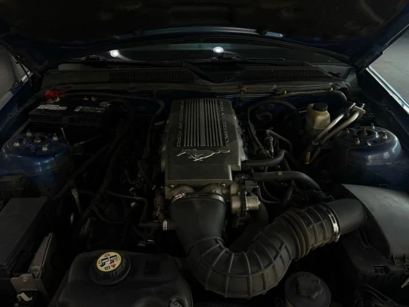 2009 Ford S197 Mustang - Image 20 of 20