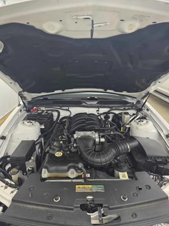 2009 Ford S197 Mustang - Image 3 of 18