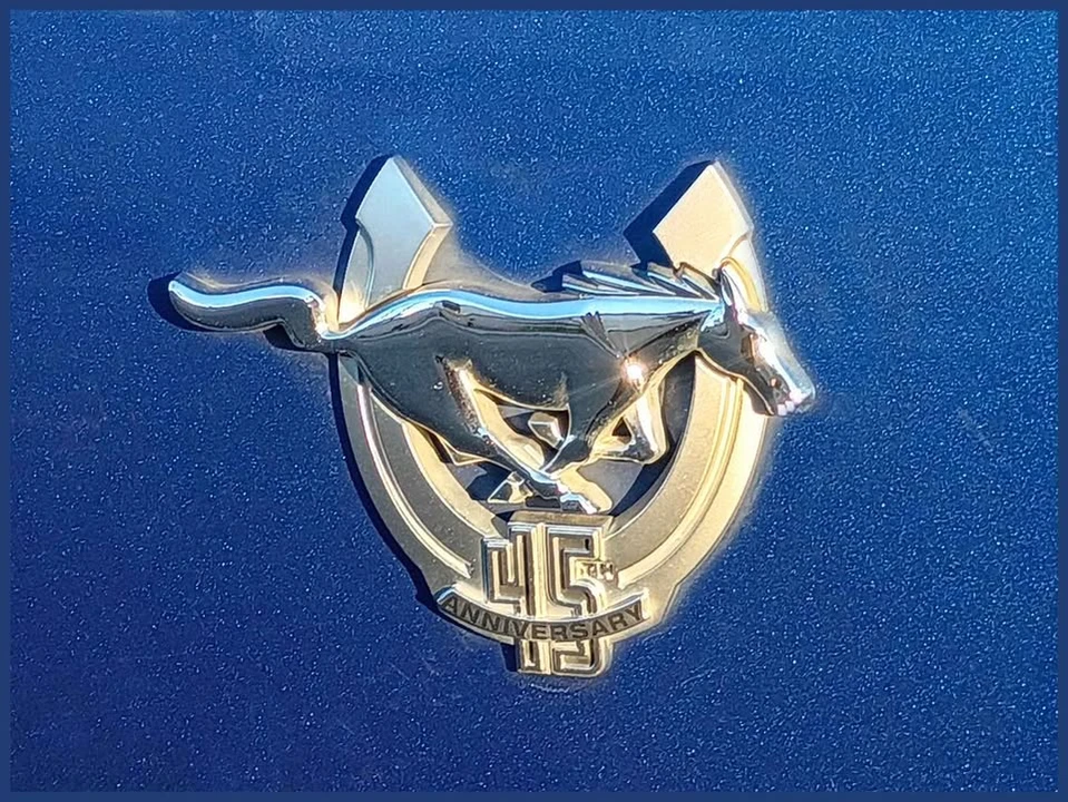 2009 Ford S197 Mustang - Image 16 of 16