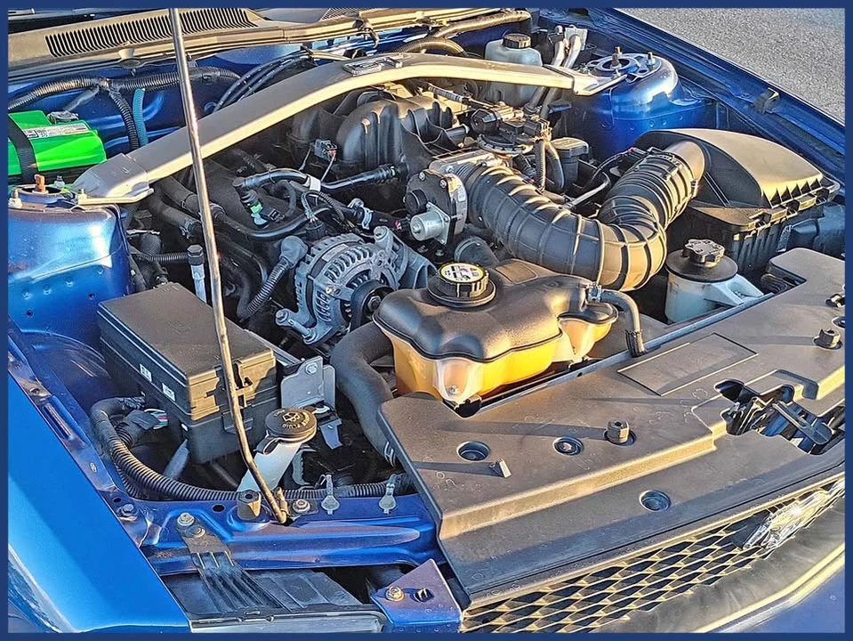 2009 Ford S197 Mustang - Image 14 of 16