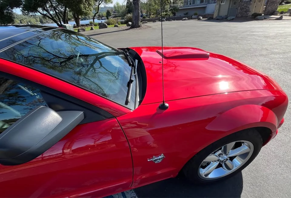 2009 Ford S197 Mustang - Image 8 of 20