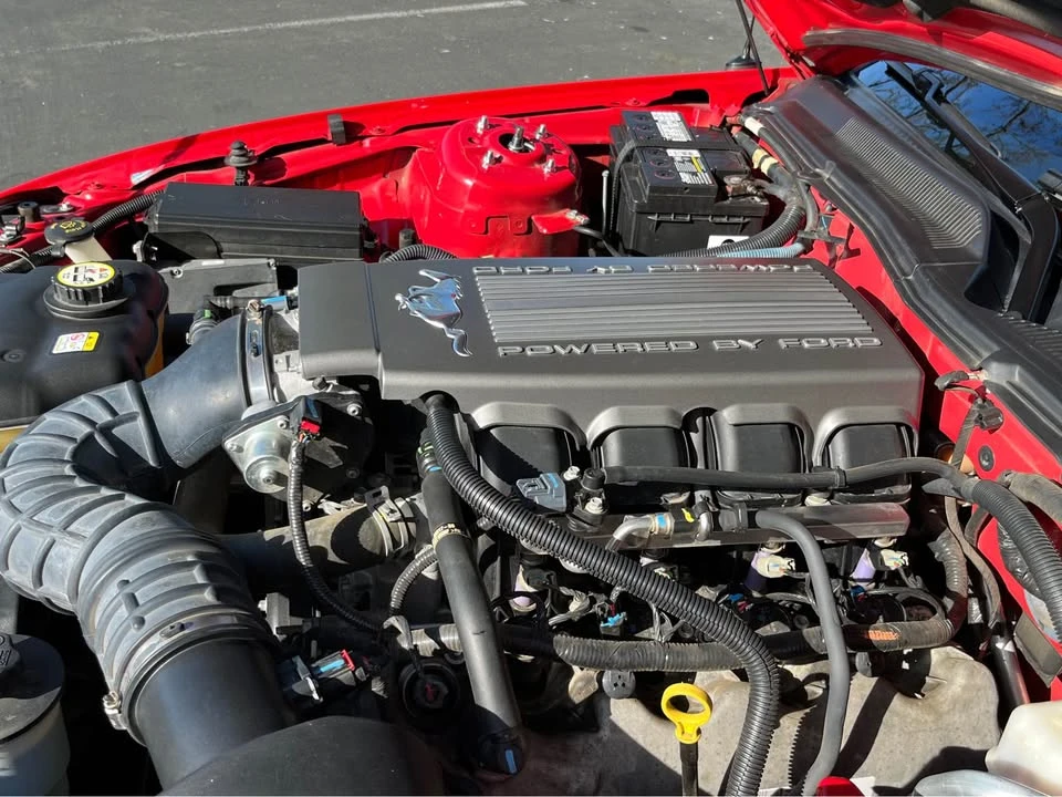 2009 Ford S197 Mustang - Image 19 of 20