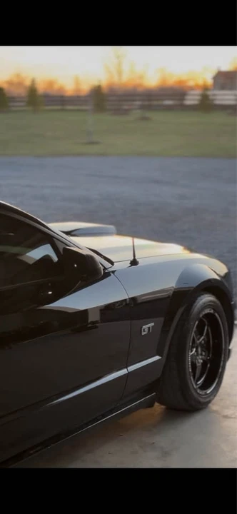 2009 Ford S197 Mustang - Image 5 of 7