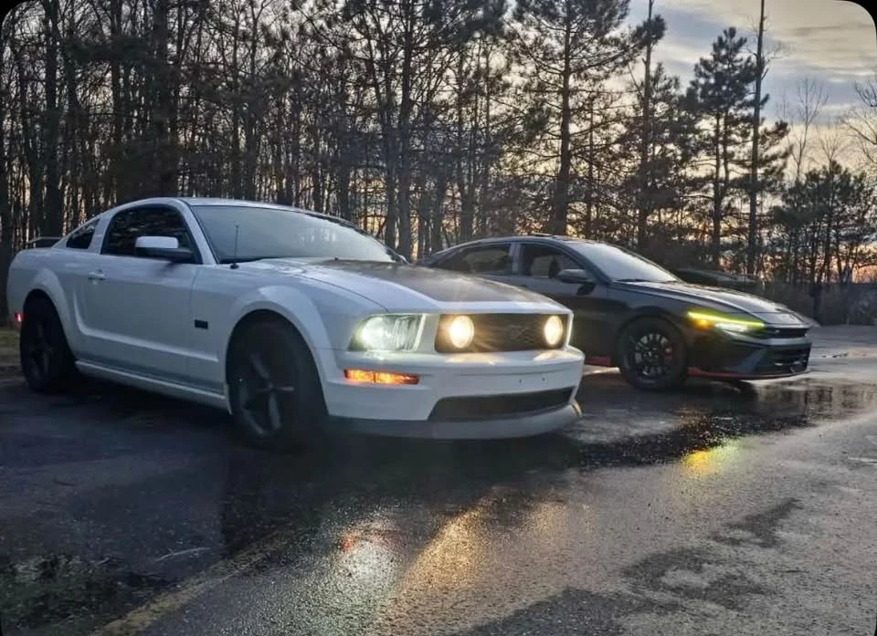 2009 Ford S197 Mustang - Image 6 of 9