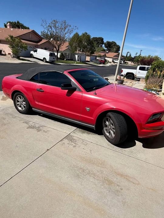 2009 Ford S197 Mustang - Image 2 of 14